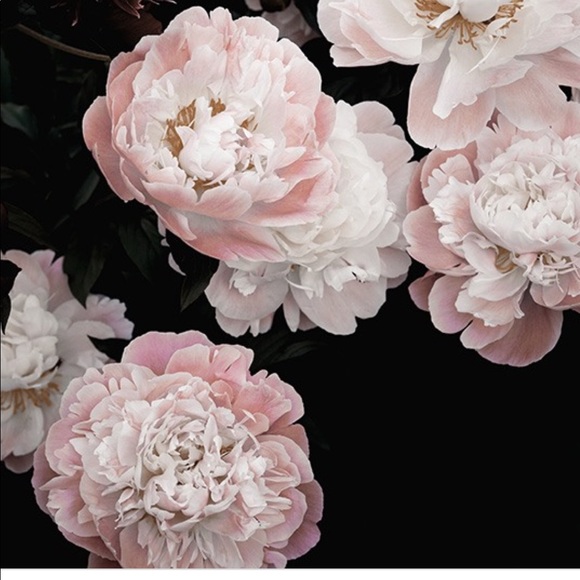 Hi! My name is Katie. Any items 10 or under can be purchased at 3/15. - Picture 1 of 1